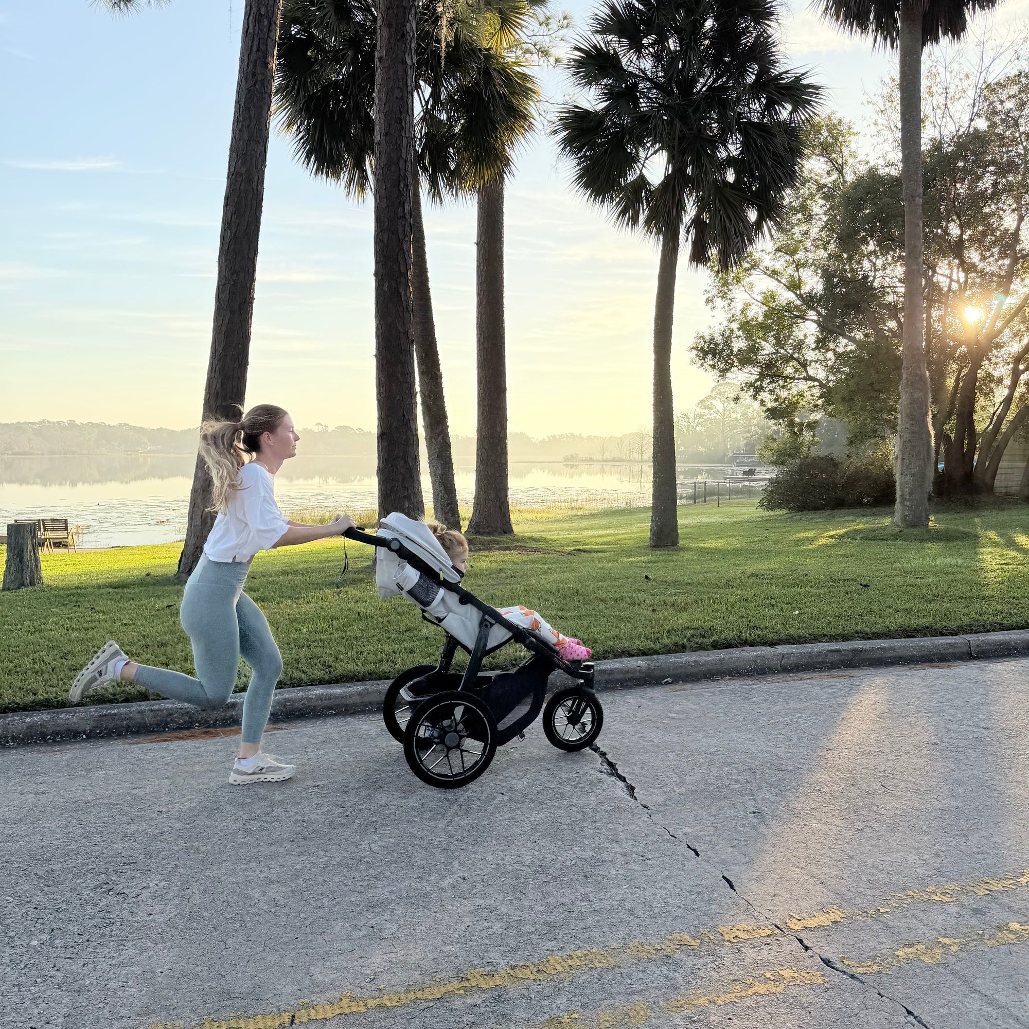 uppababy all-terrain ridge Ridge V2 Stroller Savannah (Pearl Grey)