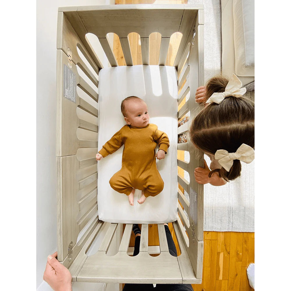 Bloom sales alma mattress